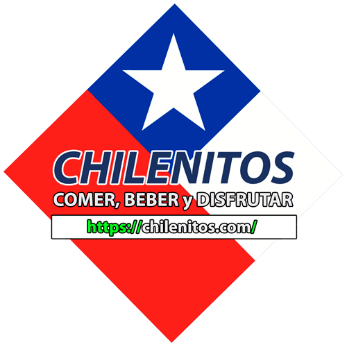 furgones-van.ves.cl - chilenos - chilenitos